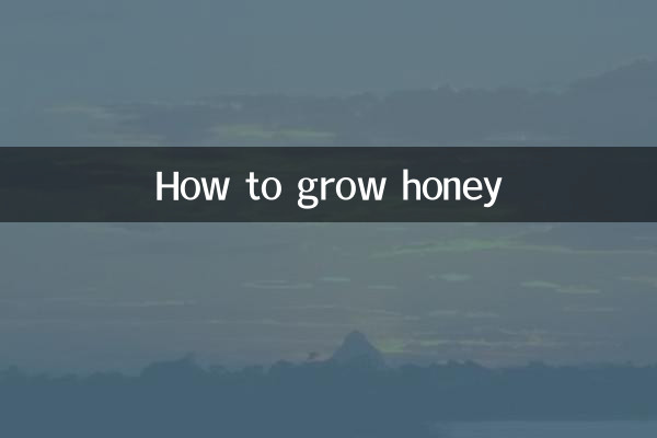शहद कैसे उगायें