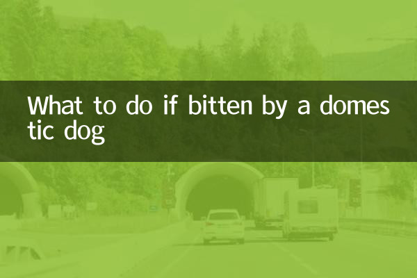 被家犬咬了怎么办