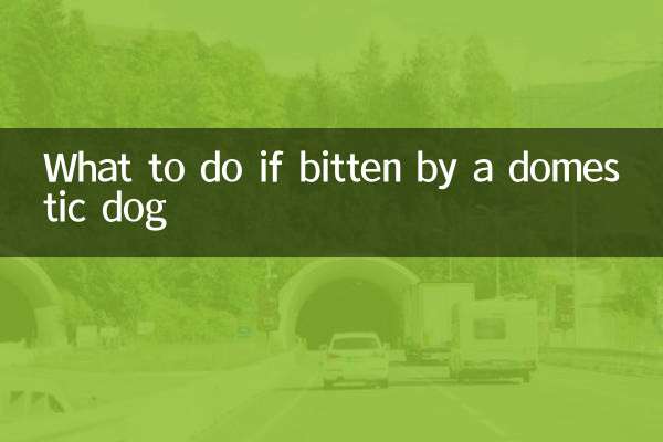 被家犬咬了怎麼辦
