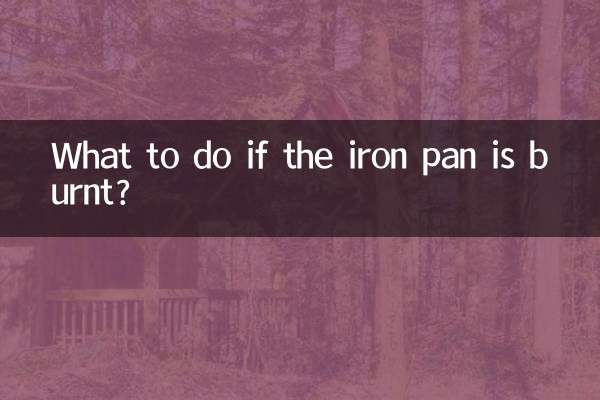 ماذا تفعل إذا احترقت المقلاة الحديدية؟