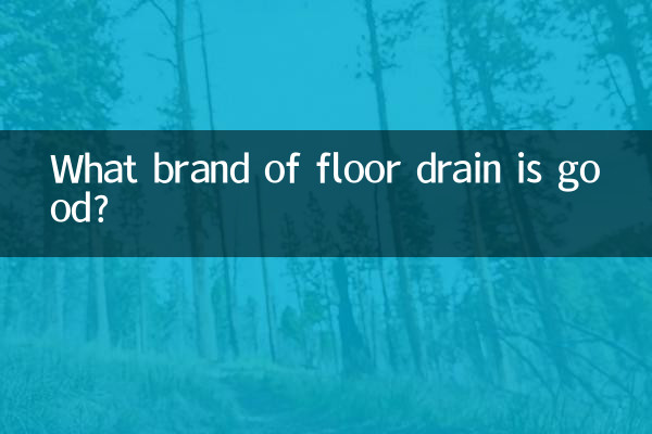 فرش ڈرین کا کون سا برانڈ اچھا ہے؟