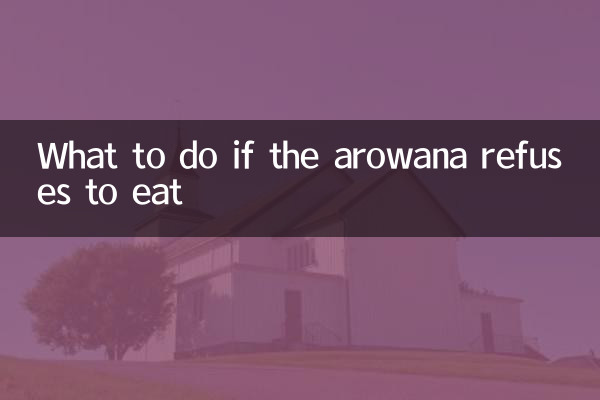 アロワナが餌を拒否した場合の対処法