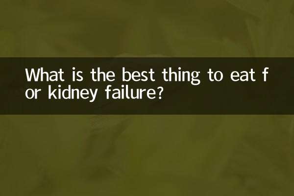 신부전증에 가장 좋은 음식은 무엇입니까?