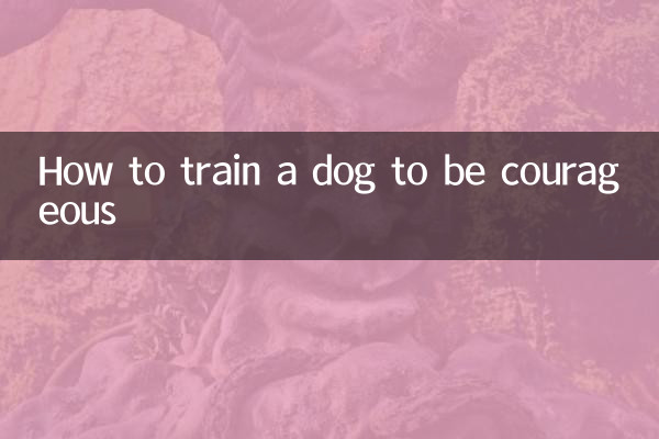 কিভাবে একটি কুকুরকে সাহসী হতে প্রশিক্ষণ দেওয়া যায়