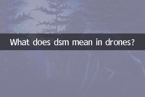 Was bedeutet DSM bei Drohnen?