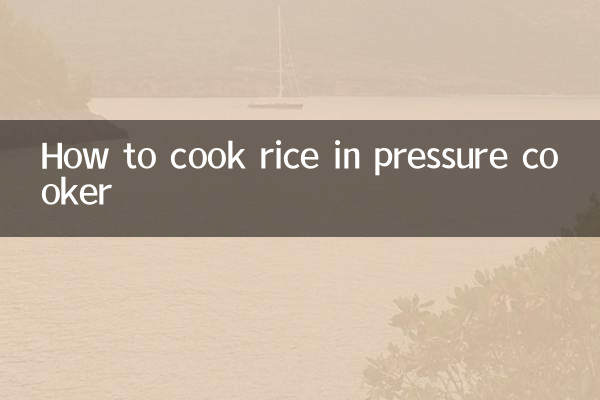 Como cozinhar arroz na panela de pressão