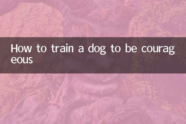 কিভাবে একটি কুকুরকে সাহসী হতে প্রশিক্ষণ দেওয়া যায়