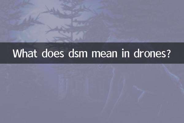 Was bedeutet DSM bei Drohnen?