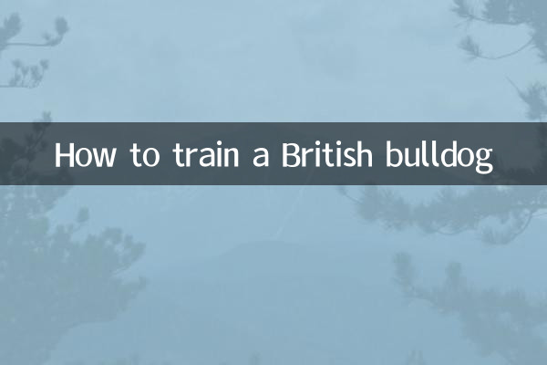 Como treinar um bulldog britânico
