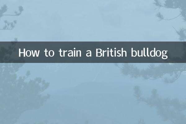 How to train a British bulldog