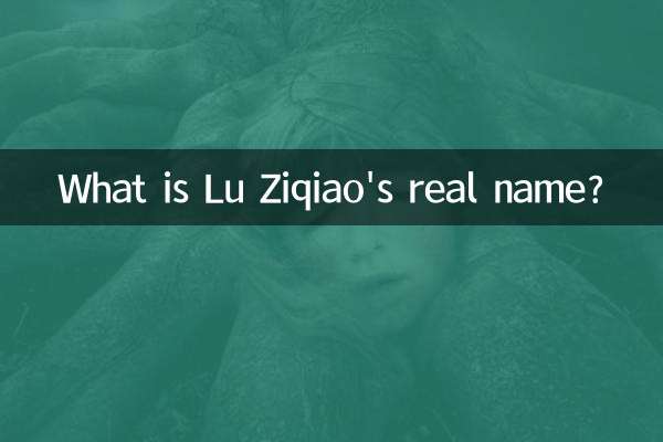 Qual è il vero nome di Lu Ziqiao?