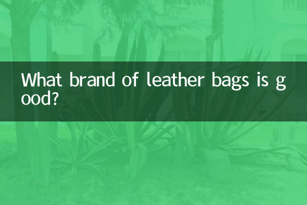 কোন ব্র্যান্ডের চামড়ার ব্যাগ ভাল?