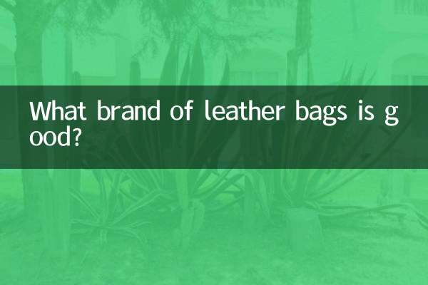 Welche Marke von Ledertaschen ist gut?