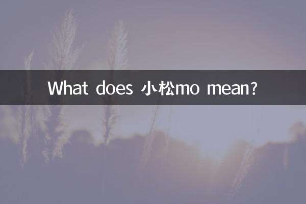 ¿Qué significa 小松mo?