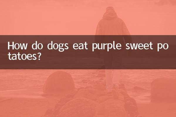 Como os cães comem batata-doce roxa?