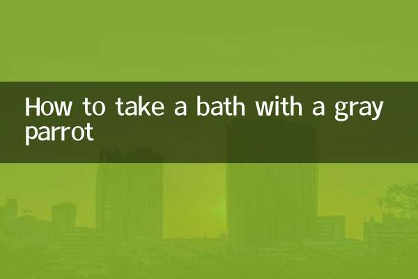 Comment prendre un bain avec un perroquet gris