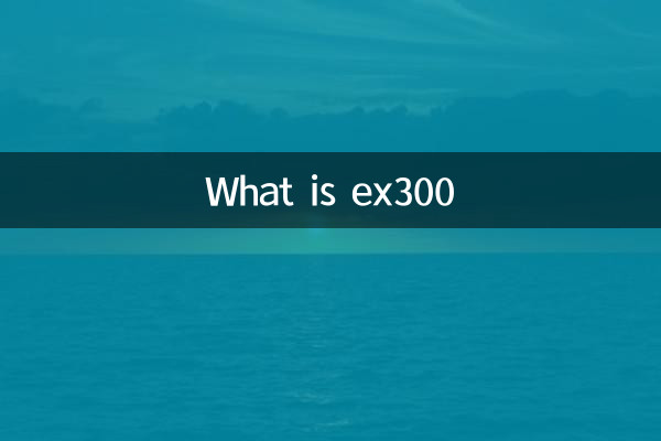EX300 کیا ہے؟