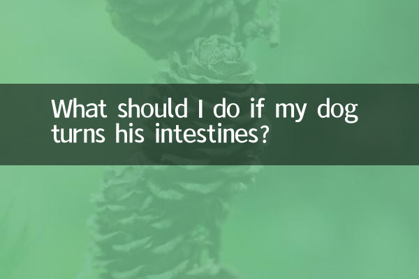 ¿Qué debo hacer si a mi perro se le revuelven los intestinos?