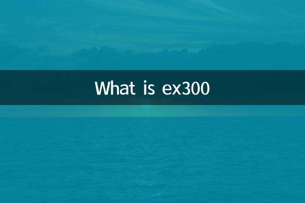 Was ist ex300