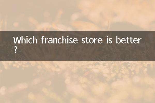 Quale negozio in franchising è migliore?