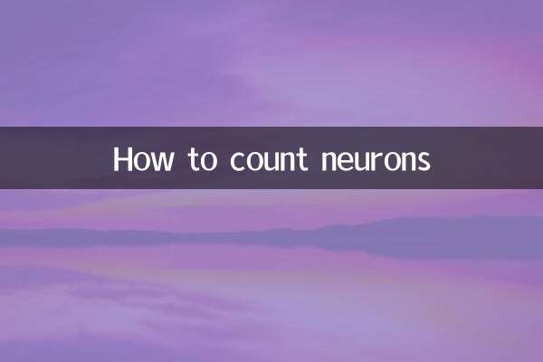 Como contar neurônios