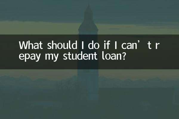 학자금 대출을 갚지 못하면 어떻게 해야 하나요?