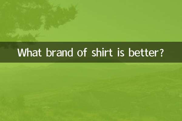 어떤 브랜드의 셔츠가 더 좋나요?