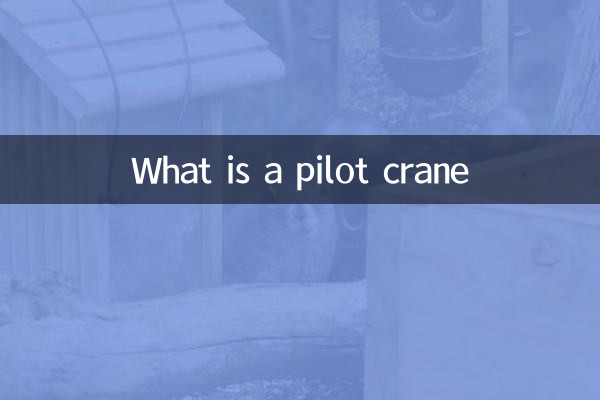 パイロットクレーンとは