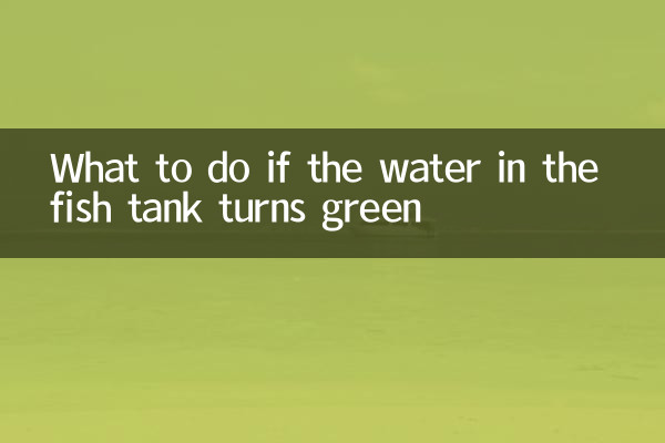 Was tun, wenn das Wasser im Aquarium grün wird?