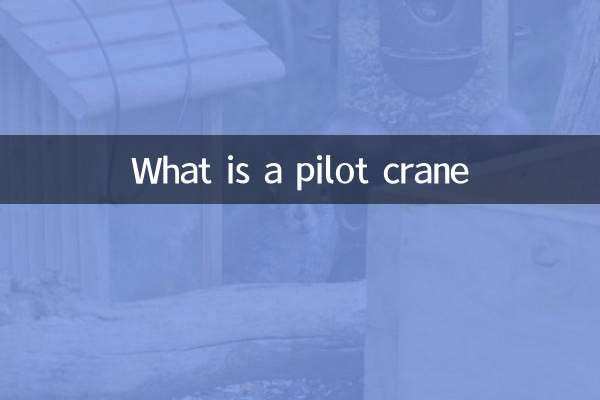 パイロットクレーンとは