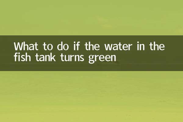 O que fazer se a água do aquário ficar verde