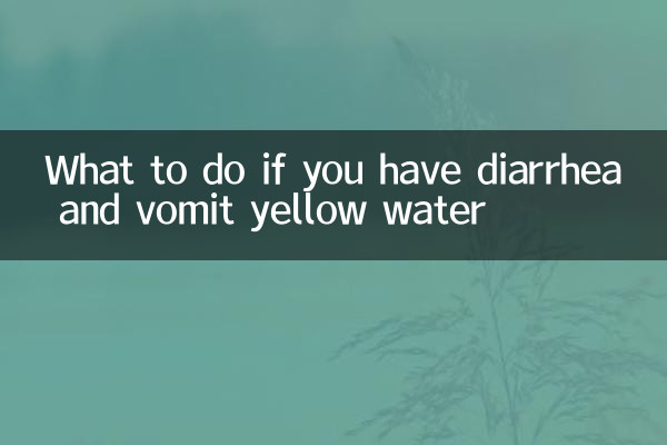 설사를 하고 황수를 토할 경우 대처방법