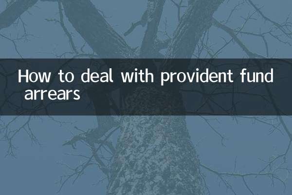 پروویڈنٹ فنڈ کے بقایا جات سے نمٹنے کے لئے کیسے