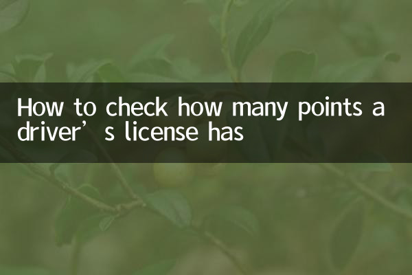 Come verificare quanti punti ha la patente di guida