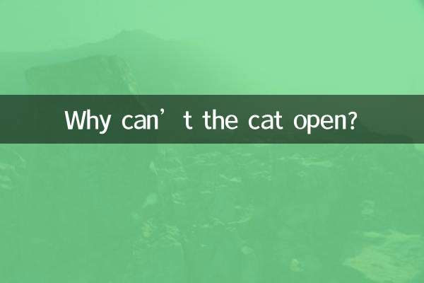 Почему кот не может открыть?