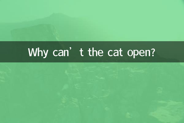 Pourquoi le chat ne peut-il pas ouvrir ?