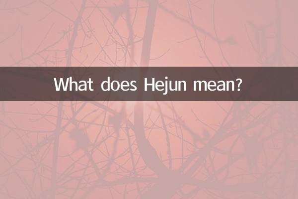 ہجن کا کیا مطلب ہے؟