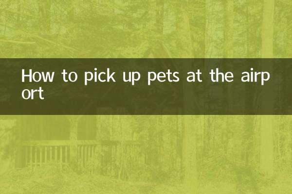 نحوه سوار کردن حیوانات خانگی در فرودگاه