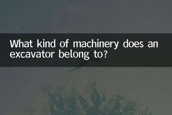 A che tipo di macchinario appartiene un escavatore?