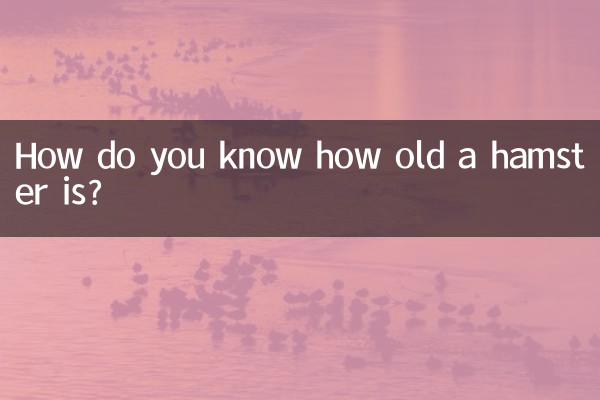 Como você sabe quantos anos tem um hamster?