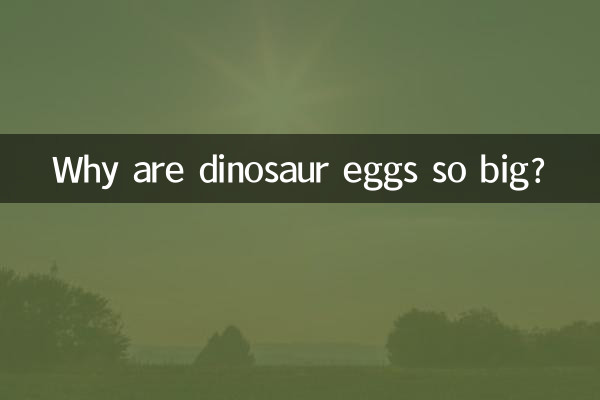 恐竜の卵はなぜあんなに大きいのでしょうか？