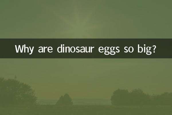 ڈایناسور انڈے اتنے بڑے کیوں ہیں؟