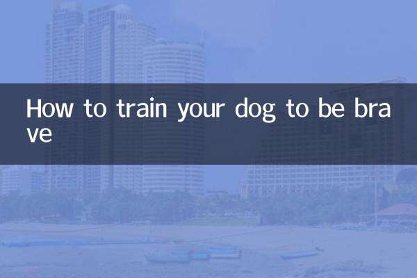 چگونه سگ خود را برای شجاع بودن تربیت کنیم