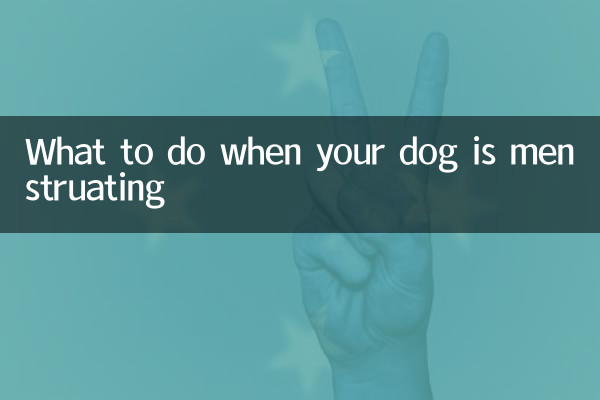 강아지가 생리 중일 때 해야 할 일