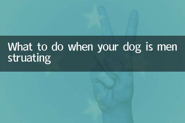 강아지가 생리 중일 때 해야 할 일