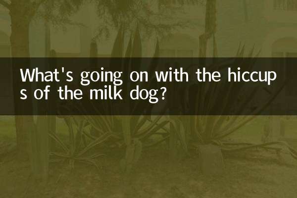 우유개 딸꾹질에 무슨 일이?