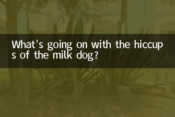 दूध देने वाले कुत्ते की हिचकी से क्या हो रहा है?