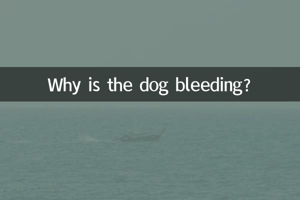 なぜ犬は血を流しているのですか？