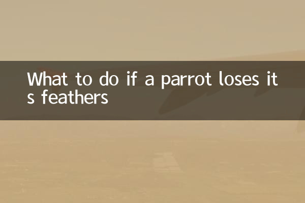 What to do if a parrot loses its feathers