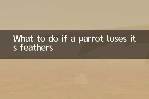 What to do if a parrot loses its feathers